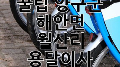 원룸이사 꿀팁🍯: 양구군 해안면 월산리 용달이사 할인받는 법!